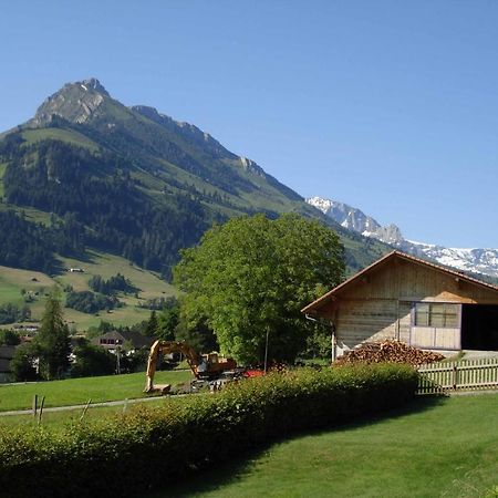 Studio Elsighorn Apartment Frutigen Luaran gambar