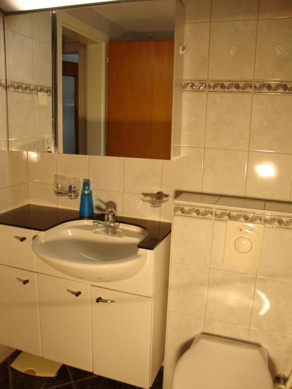 Studio Elsighorn Apartment Frutigen Bilik gambar